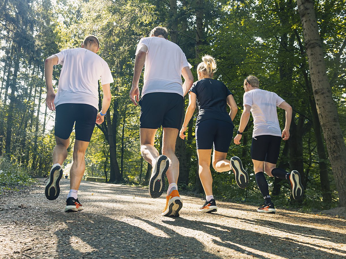 Groep hardlopers op een bospad in het Amsterdamse Bos