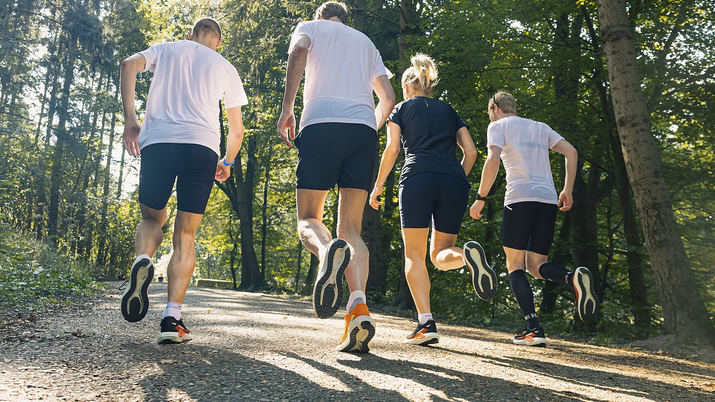 Groep hardlopers tijdens de DailyRun Social Run in het Amsterdamse Bos